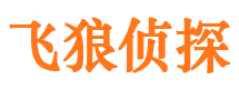 鹤岗市婚外情调查